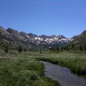 Dominic Echeverria's photo