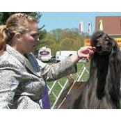 Nicole Starr Hollinger's photo