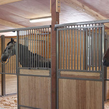 Arena / Barn