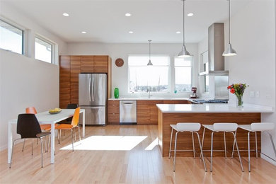 Kitchen - modern kitchen idea in Cedar Rapids