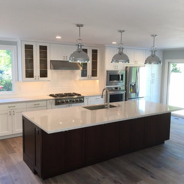 Moraga Kitchen/Living Room/Family Room/Fire Place Demo