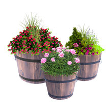 Whiskey Barrel Planters