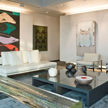 Art Collector's Home