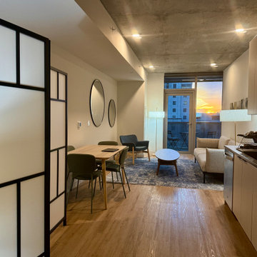 A Design Blitz Miracle — Sol Modern, Phoenix, Arizona.