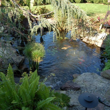 Ponds & Waterfalls