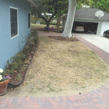 Backyard Landscaping Project