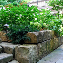 wall