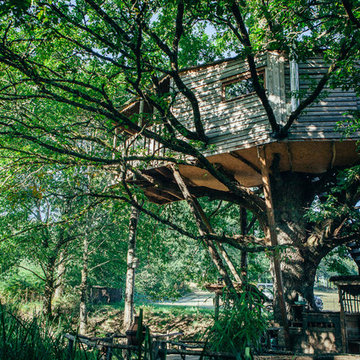 House Tree