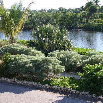 Native coastal planting design