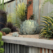 Succulent Gardens