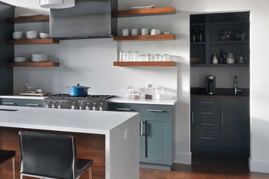 Trendy home design photo in Burlington