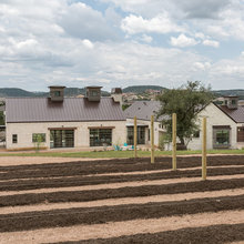 Vinyard