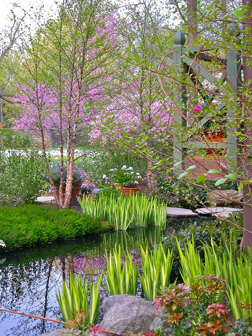 Planting Around Water Features Houzz