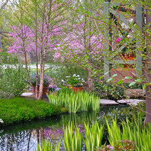 Pond
