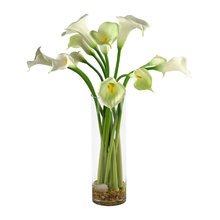 librería