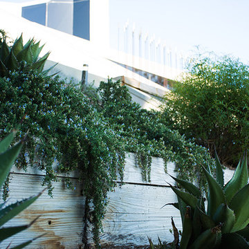 Coastal Living #5