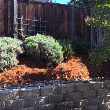 Landscape Projects