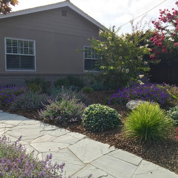 Los Altos No Lawn, Low Water