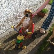 Niamh Coffey's photo
