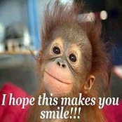 Cheryl O'Boyle's photo