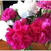 Beth Bonner's photo