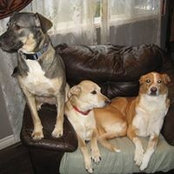 Lori Burt-Bragg's photo