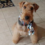 Beth Goode's photo