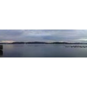 Mirko D's photo