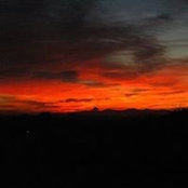 Conrad Scott's photo