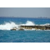 Kelly Bognanno's photo