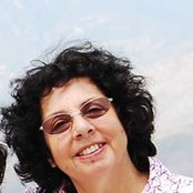 Nily Harel's photo
