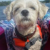 Jennifer Hearn's photo