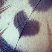 Zoe Jones's photo