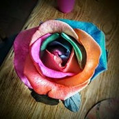 Foto von Jennifer Howk