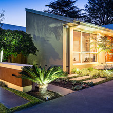 Cedar - Landscape Ideas