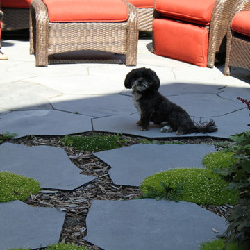 Flagstone, Moss, and Plants