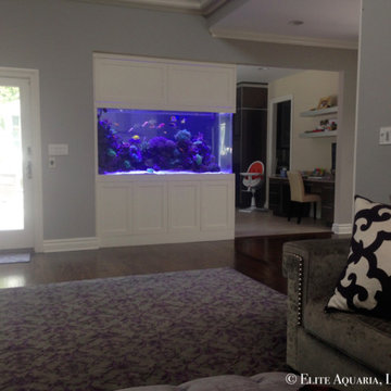 Custom Saltwater Aquarium, Westchester NY