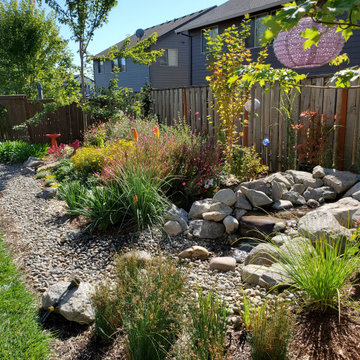Backyard Makeover