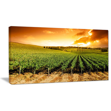 "Sunset Vineyard Panorama" Wall Art Landscape, 40"x20"