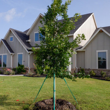 Shade Trees for Texas