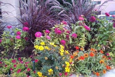 Photo of a side yard mulch landscaping in Denver.
