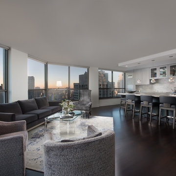 Chicago, IL. - Penthouse Condo Remodeling