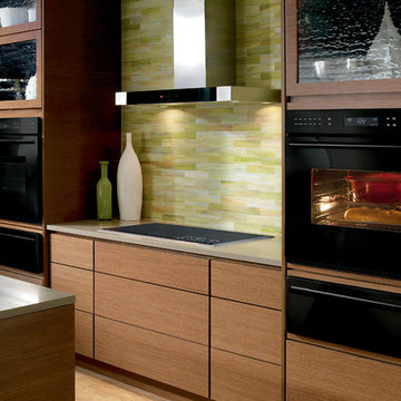Wolf 30" Built-In E Series Contemporary Black Glass Single Oven, SO30CE/B/TH