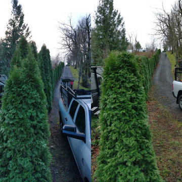 Nando’s Yard Care LLC