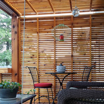 Backyard Design