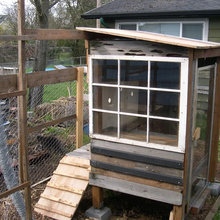 chicken coop