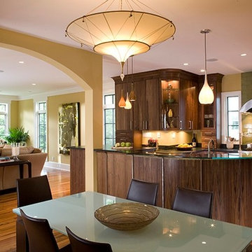 NORTHWEST DC CONTEMPORARY KITCHEN