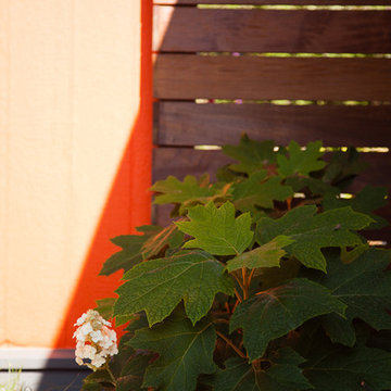 Lower Rockridge Retreat