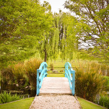 pond