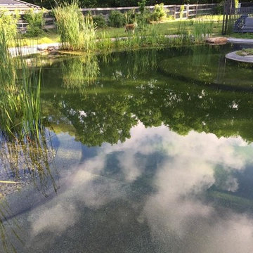 BioNova Natural Swimming Pool - Hartford, CT